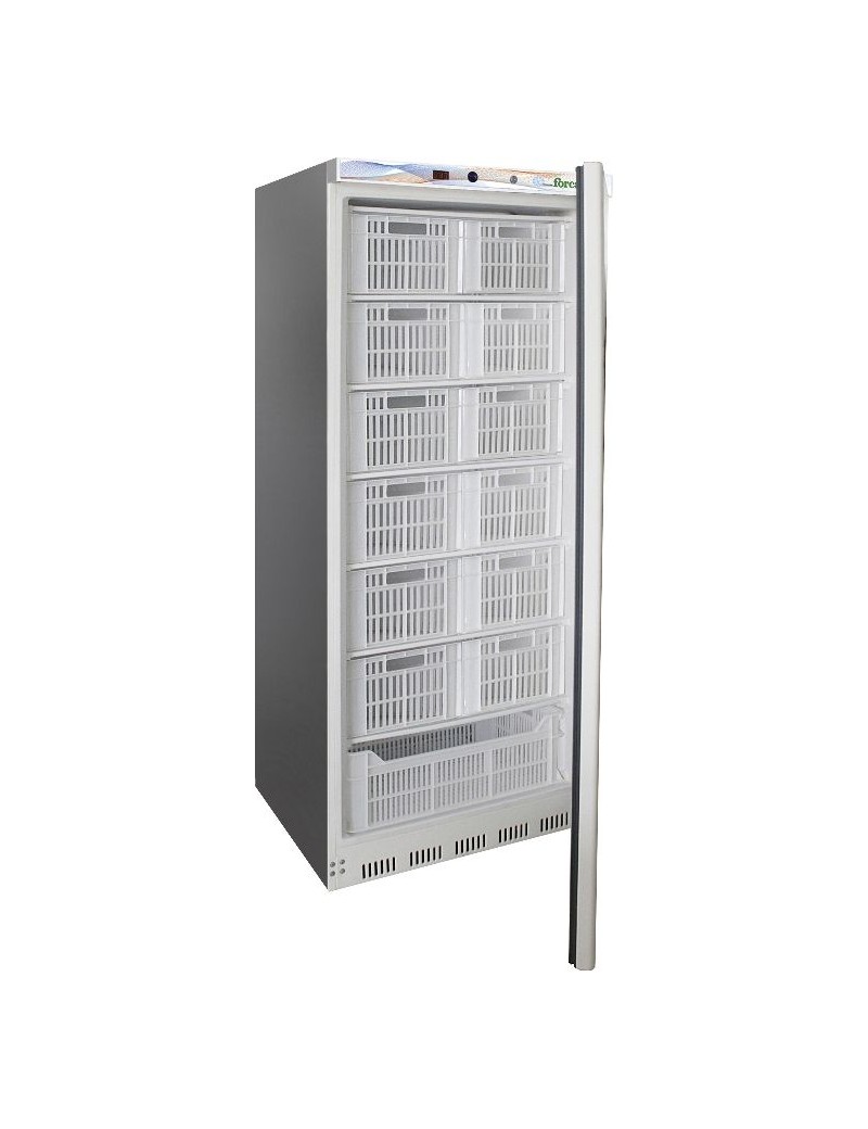 Freezer cabinet static Forcar G-EF600CAS